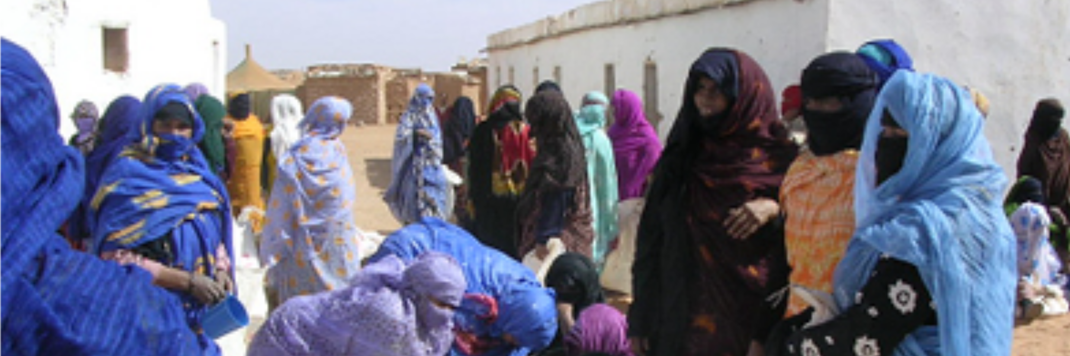 Westsahara: Völkerrecht oder Staatsinteressen?